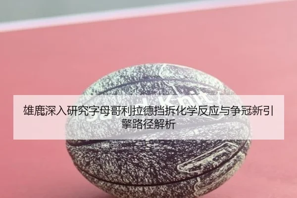 雄鹿深入研究字母哥利拉德挡拆化学反应与争冠新引擎路径解析