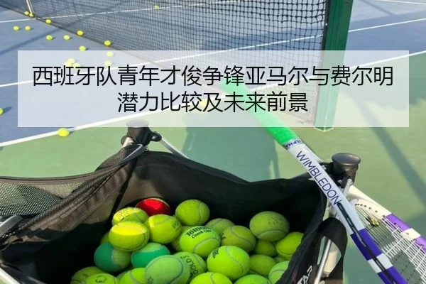 西班牙队青年才俊争锋亚马尔与费尔明潜力比较及未来前景