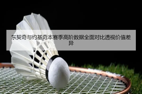 东契奇与约基奇本赛季高阶数据全面对比透视价值差异